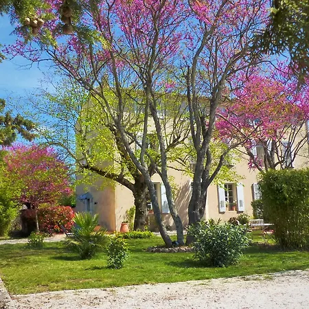 Domaine De Conillieres Lodge Saint-Maximin-la-Sainte-Baume