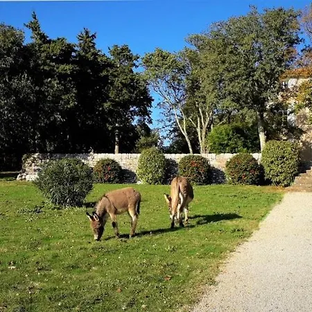 Domaine De Conillieres ロッジ Saint-Maximin